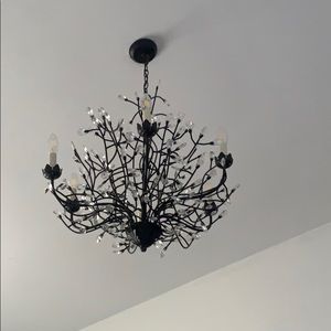 Meet your Posher, Lino